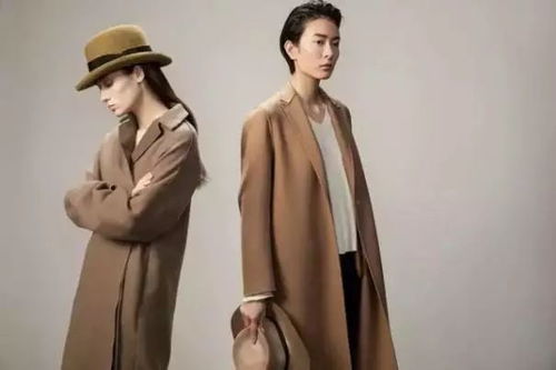 小米港交所上市的启示 服饰品牌如何借鉴其成功之道