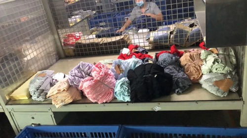 走访中山市宝路易服饰 品质与创新的时尚领航者